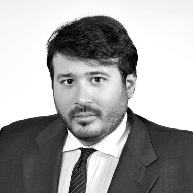 Mr. Dionisis Vougioukas