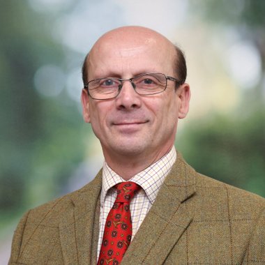 David Bloomfield