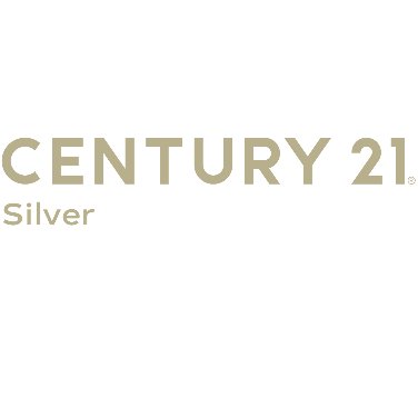 Silver Properties