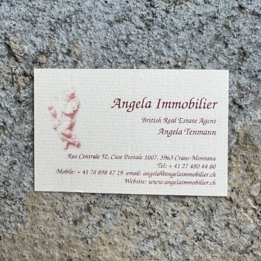 AAI Angela Immobilier SA