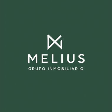 Melius Grupo Inmobiliario