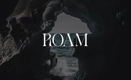 Roam International