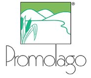 Promolago Immobiliare