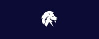 Lion Capital Group