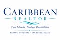 Caribbean Realtor
