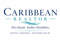 Caribbean Realtor