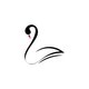 Black Swan Properties GmbH