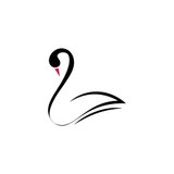 Black Swan Properties GmbH