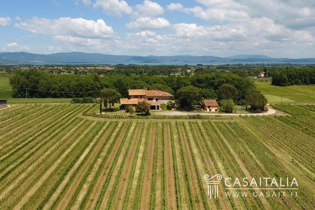 Farm Ranch in Castiglione del Lago, Umbria, Italy 1 - 10018366