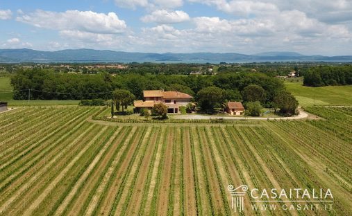 Farm Ranch in Castiglione del Lago, Umbria, Italy 1