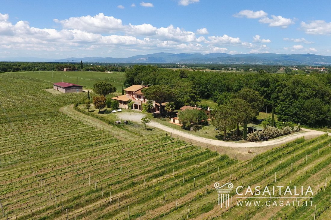 Farm Ranch in Castiglione del Lago, Umbria, Italy 5 - 10018366