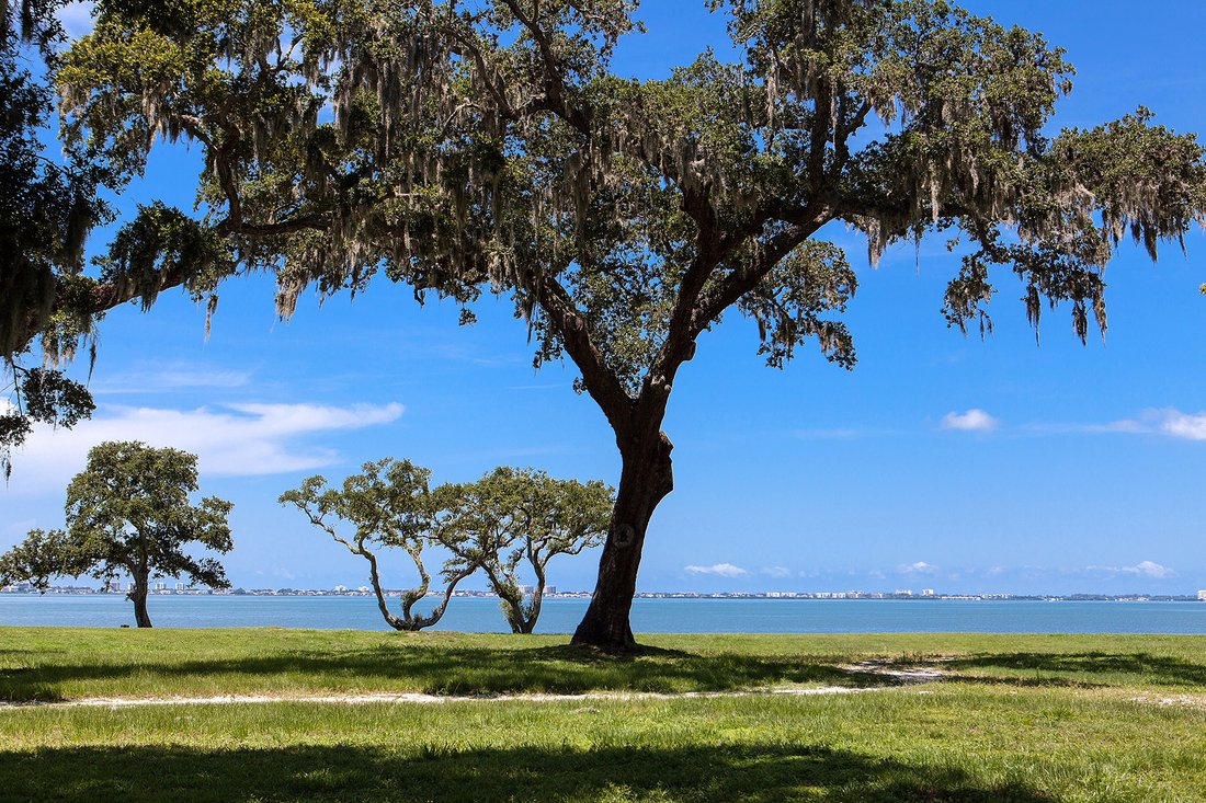 Sarasota Bay Park In Sarasota, Florida, United States For Sale (10232549)