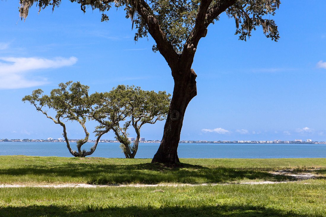 Sarasota Bay Park In Sarasota, Florida, United States For Sale (10232549)