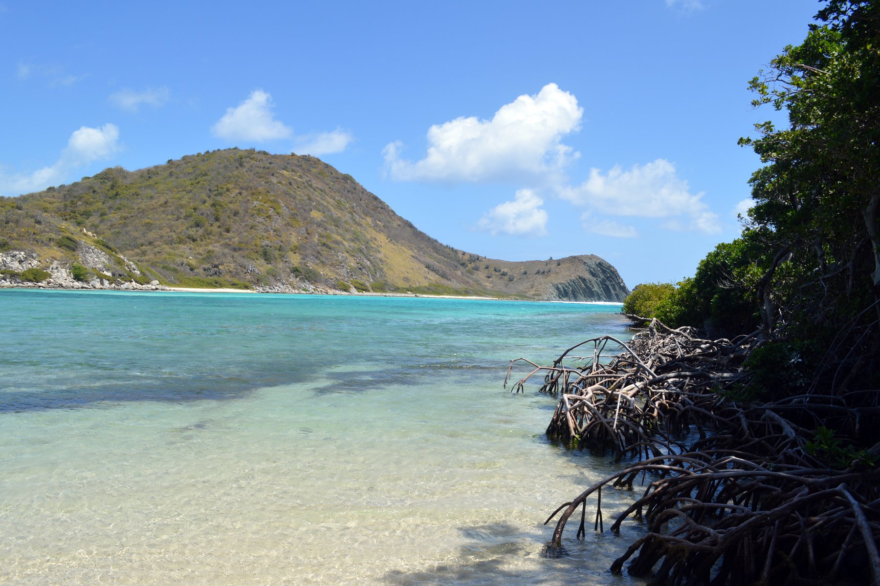 Ginger Island In Tortola, British Virgin Islands For Sale (10233320)