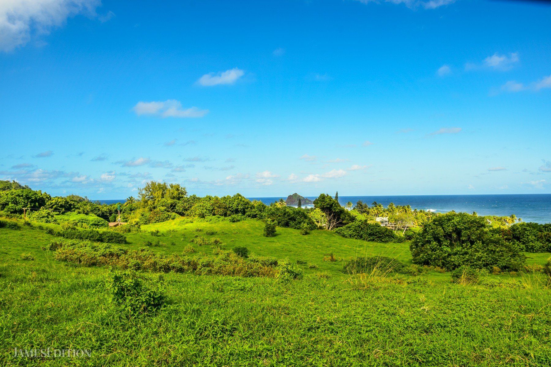 Untouched Hawaii Prime Location Walk To Hamoa Beach In Hana Hi