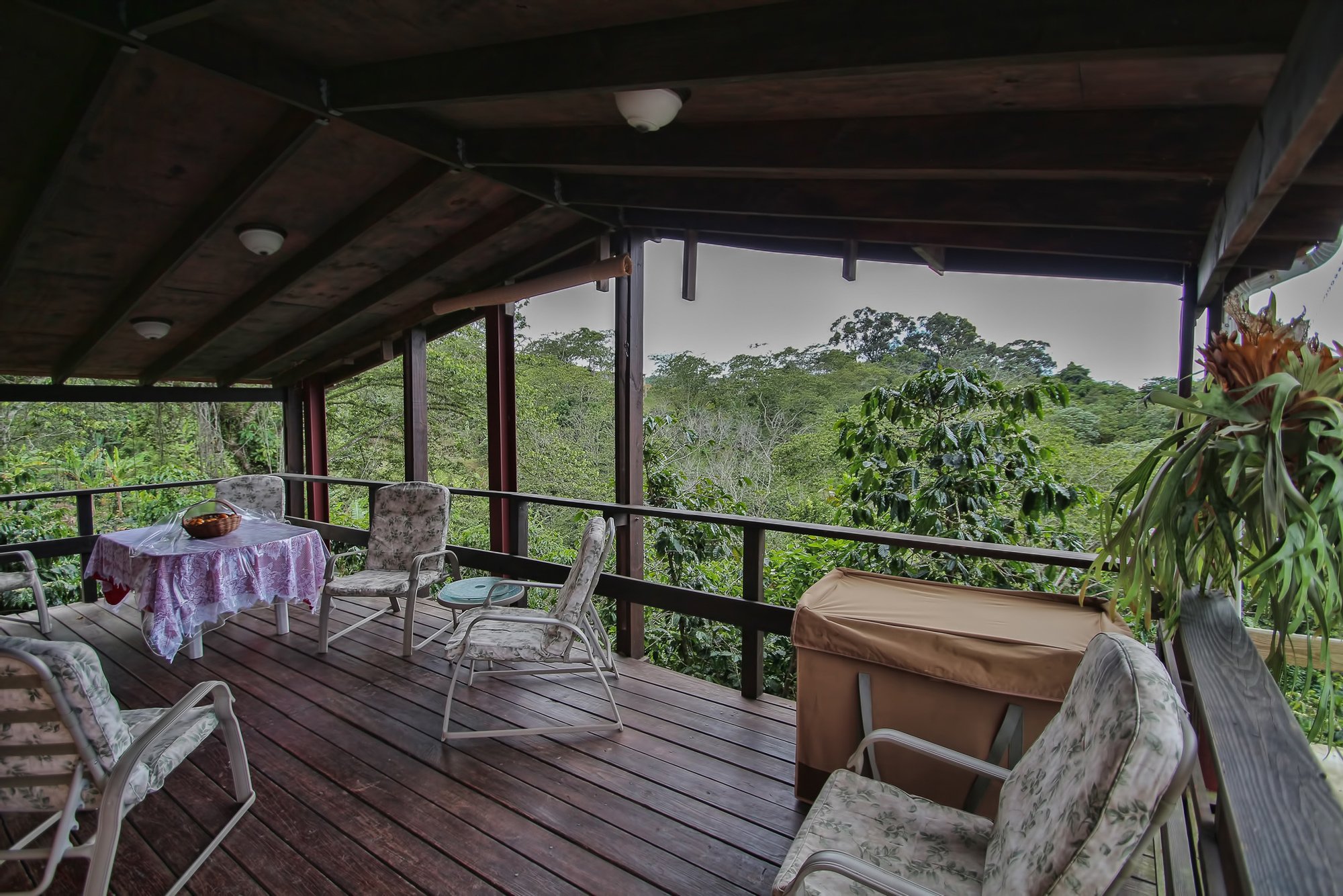 Hacienda Las Nubes in Adjuntas, Puerto Rico for sale (1002327)