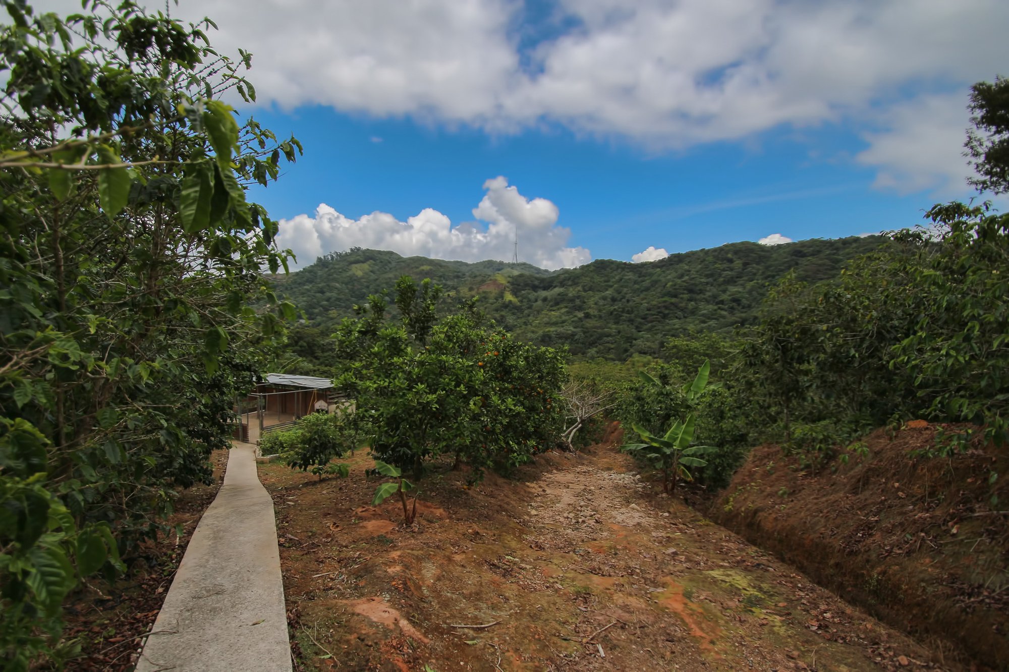 Hacienda Las Nubes in Adjuntas, Puerto Rico for sale (1002327)