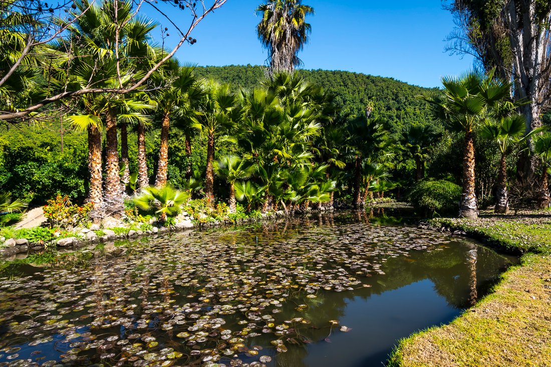 Farm Ranch in Panquehue, Valparaíso, Chile 4 - 10112722
