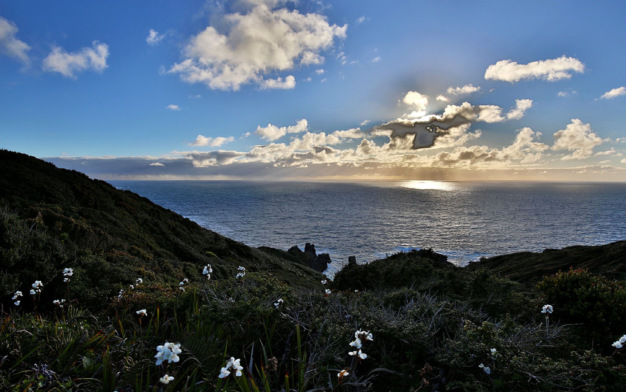 Paradise Private Island In Chilean Patagonia in Puerto Montt, Chile for ...