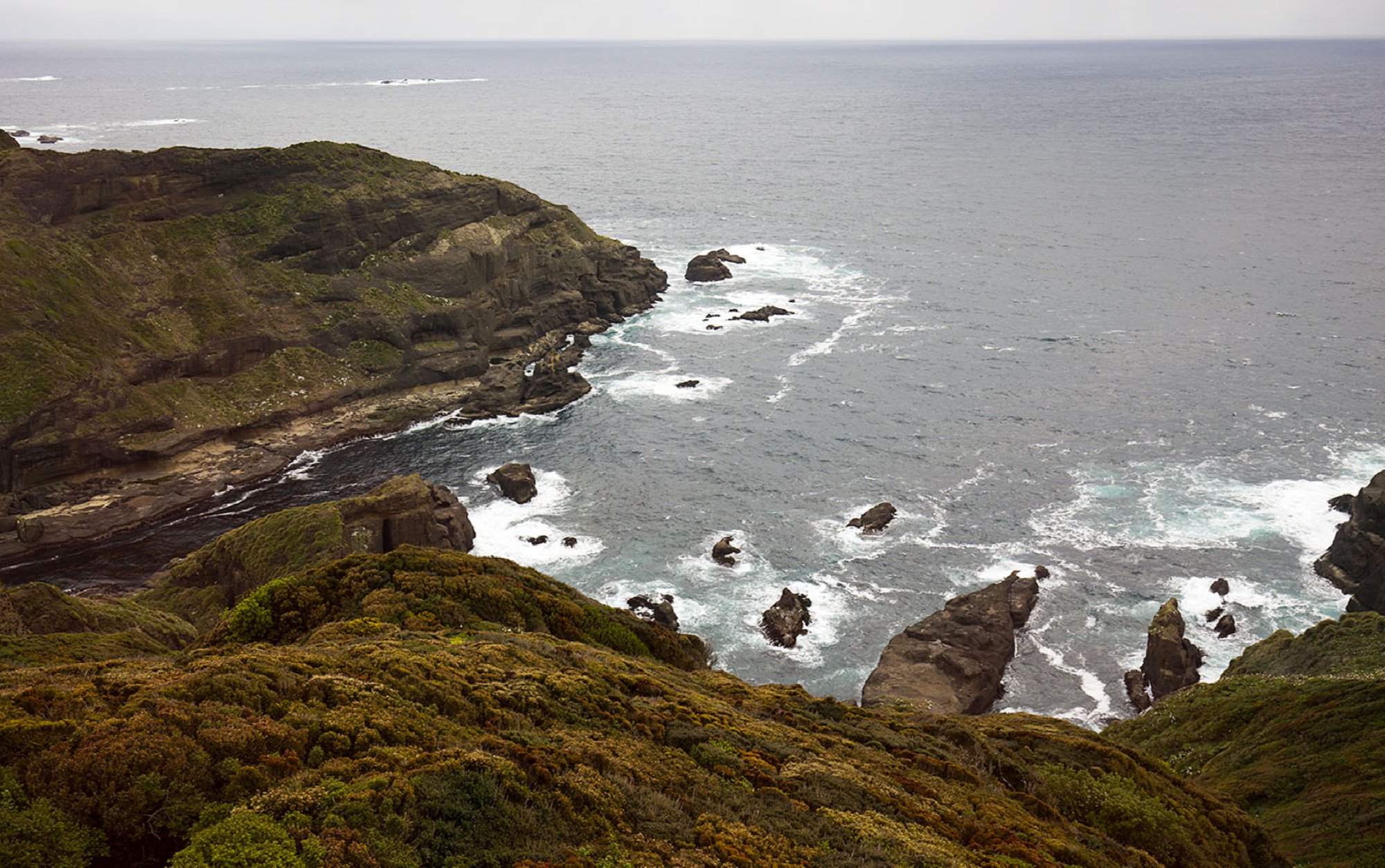 Paradise Private Island In Chilean Patagonia in Puerto Montt, Chile for ...