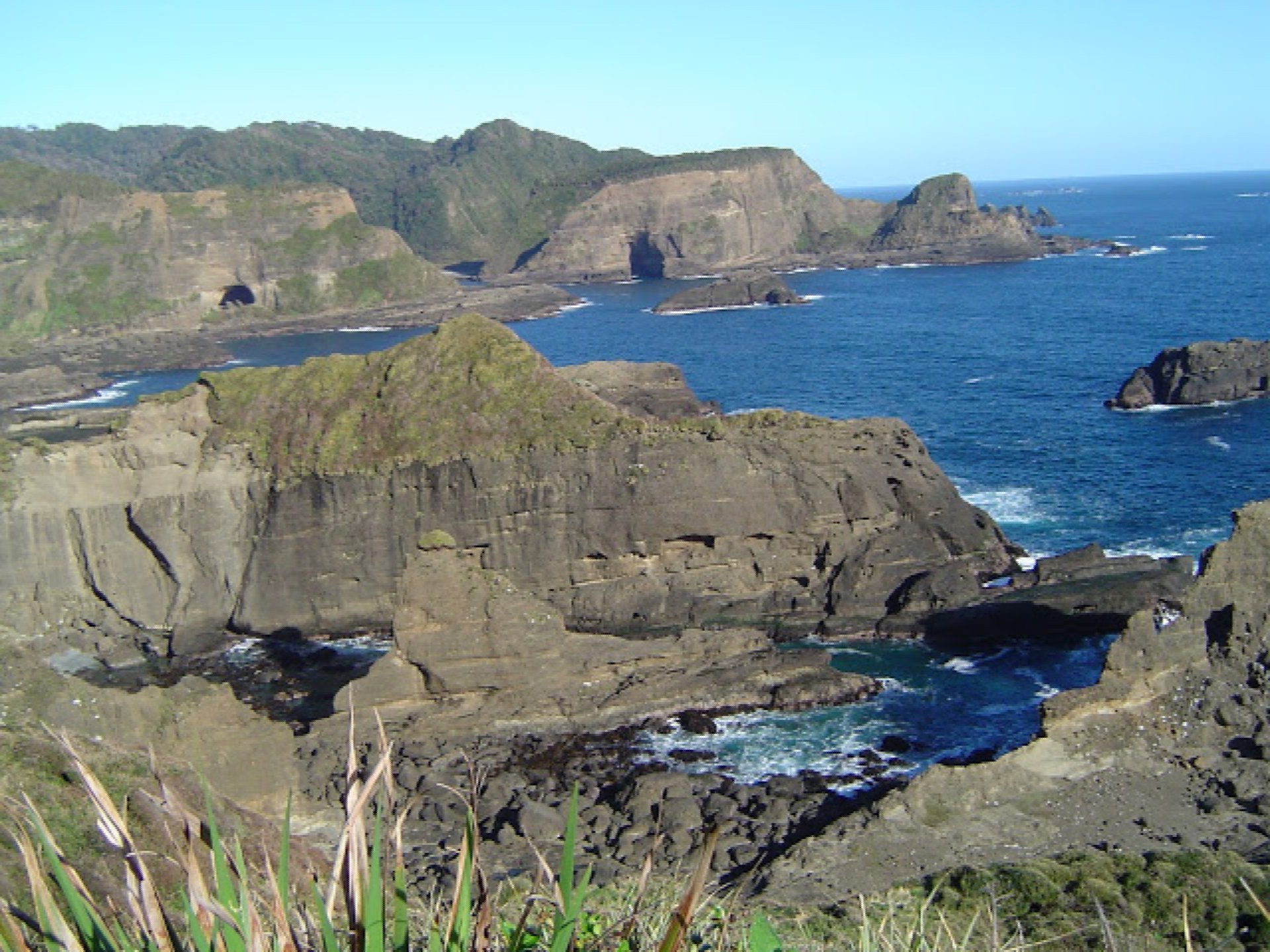 Paradise Private Island In Chilean Patagonia in Puerto Montt, Chile for ...