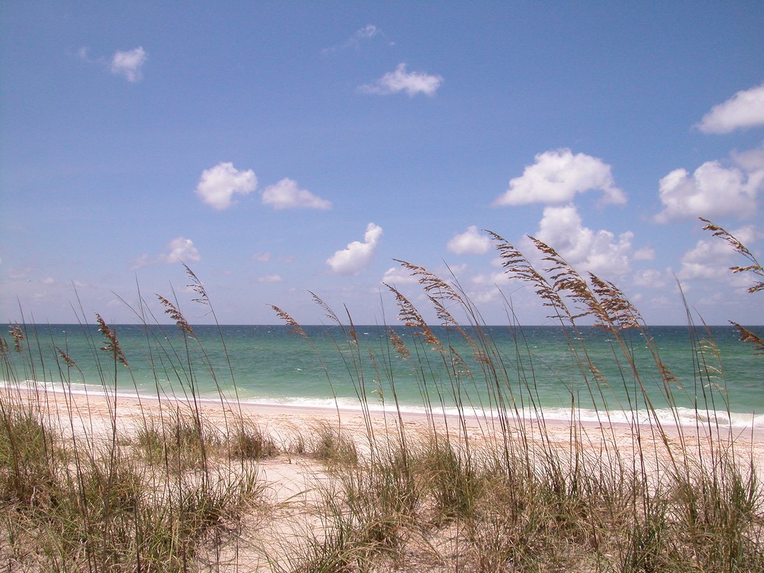House in Sarasota, Florida, United States 4 - 10282255
