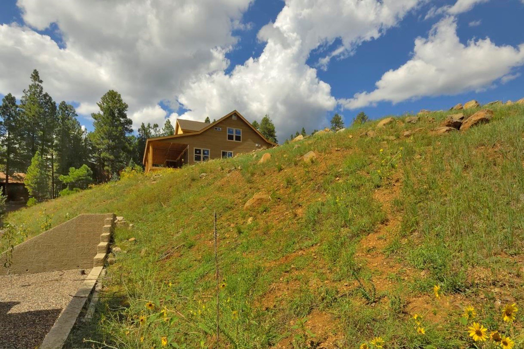 homes for sale in munds park az