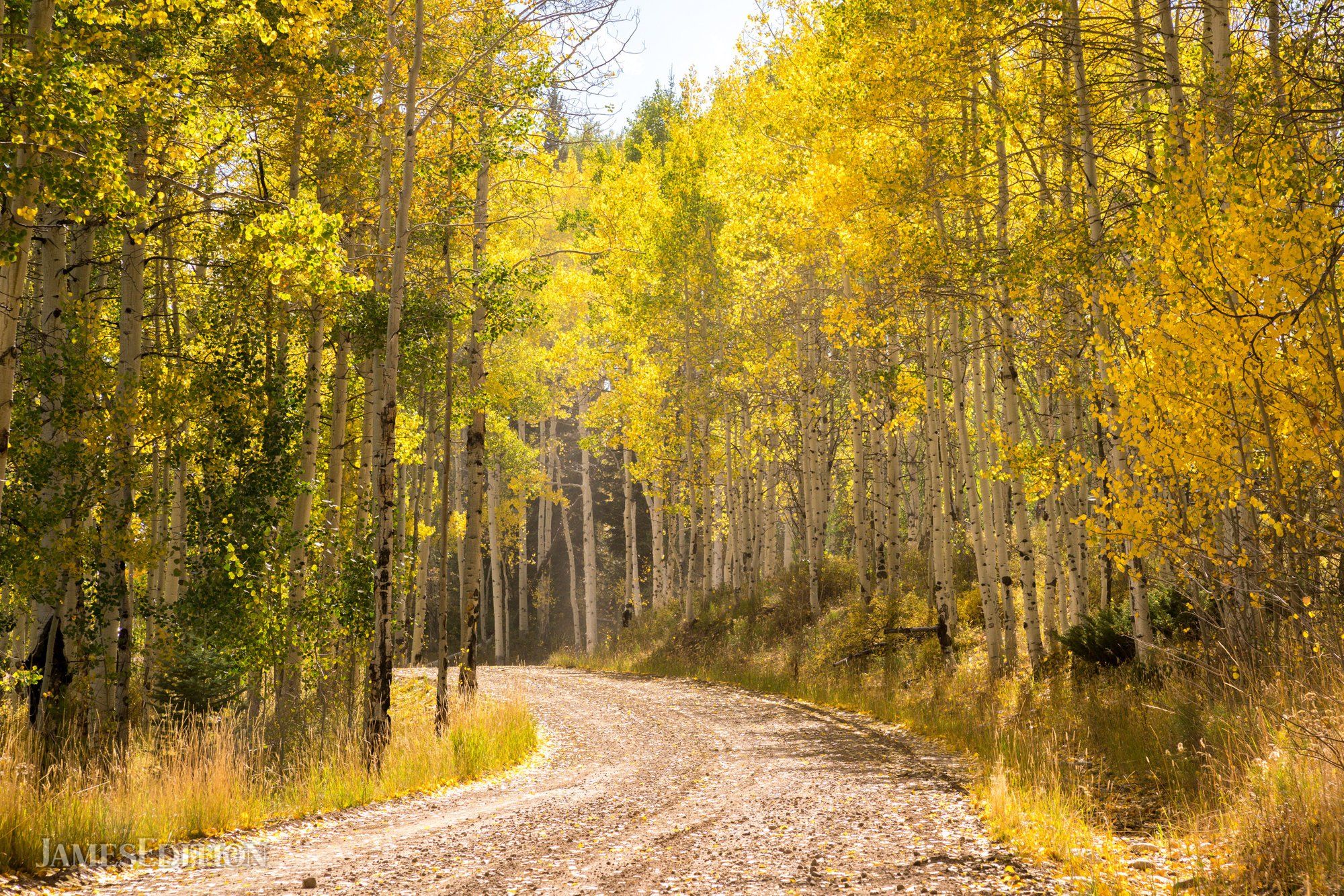 Aspen Meadows Ranch in Kremmling, CO, United States for sale (10404087)