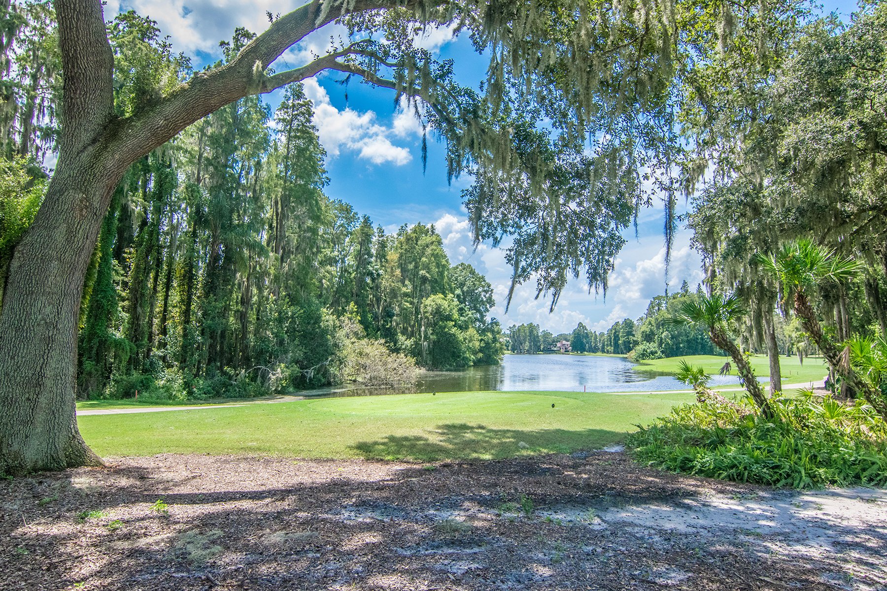 Lutz In Lutz, Florida, United States For Sale (10406722)