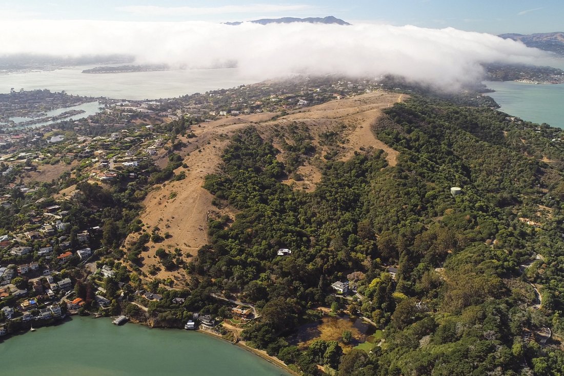 Easton Point In Tiburon, California, United States For Sale (10413150)