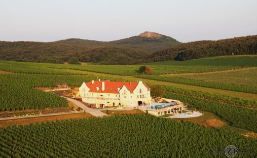 Exclusive Winery With Boutique Hotel Private Estate For In Monoszlo Hungary For Sale 10476535
