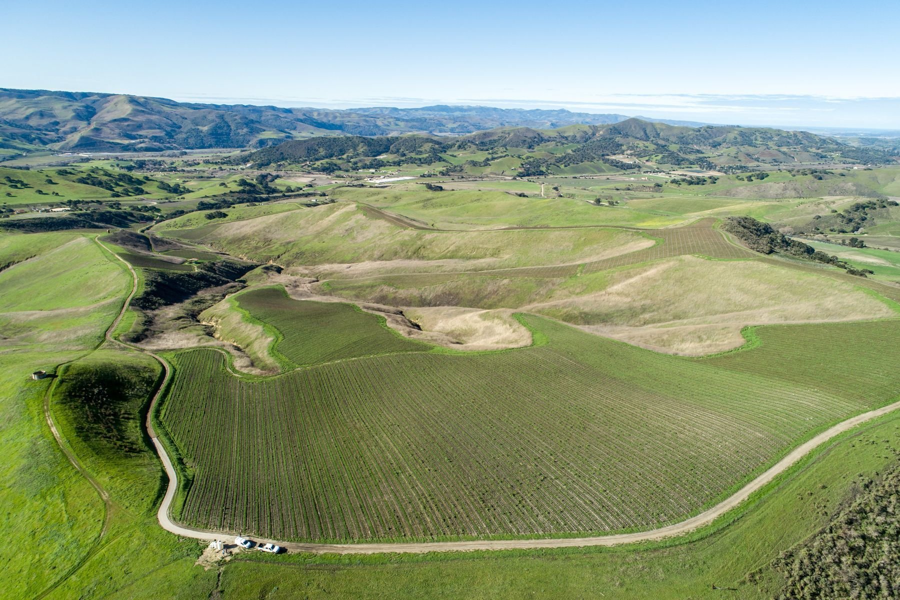 st rita hills st rita hills