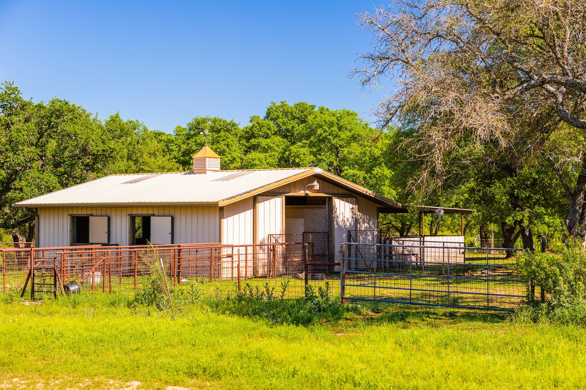 Buck Spring Ranch in Llano, TX, United States for sale (10516254)