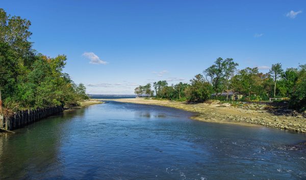 Glen Cove (10480043)