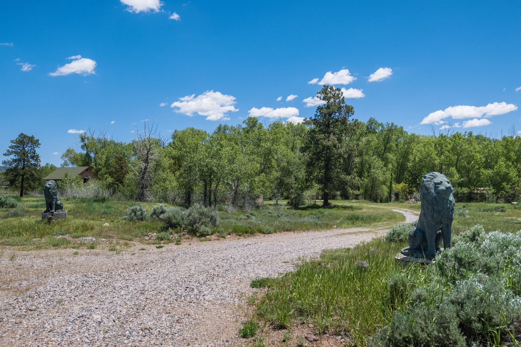 Chama River Ranch in Chama, NM, United States for sale (10533719)