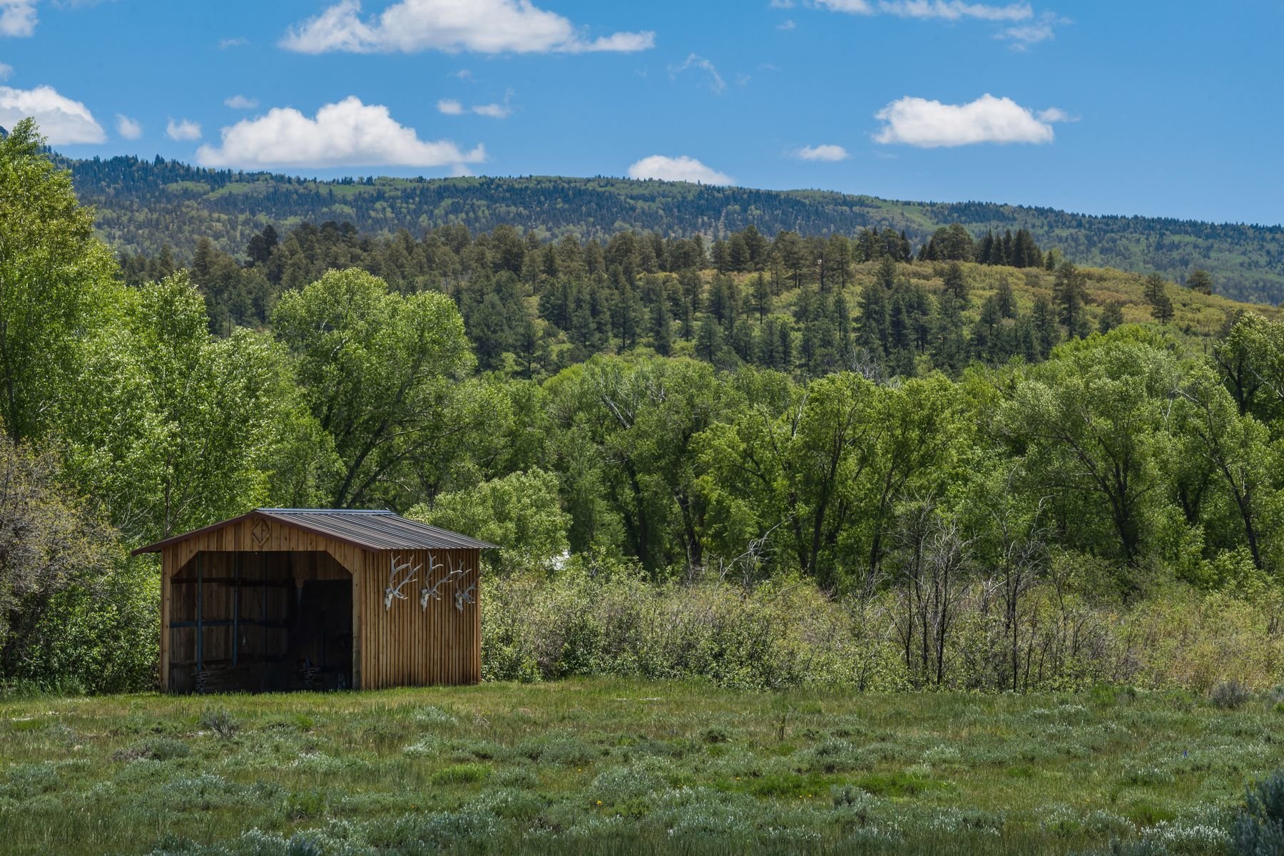 Chama River Ranch in Chama, NM, United States for sale (10533719)