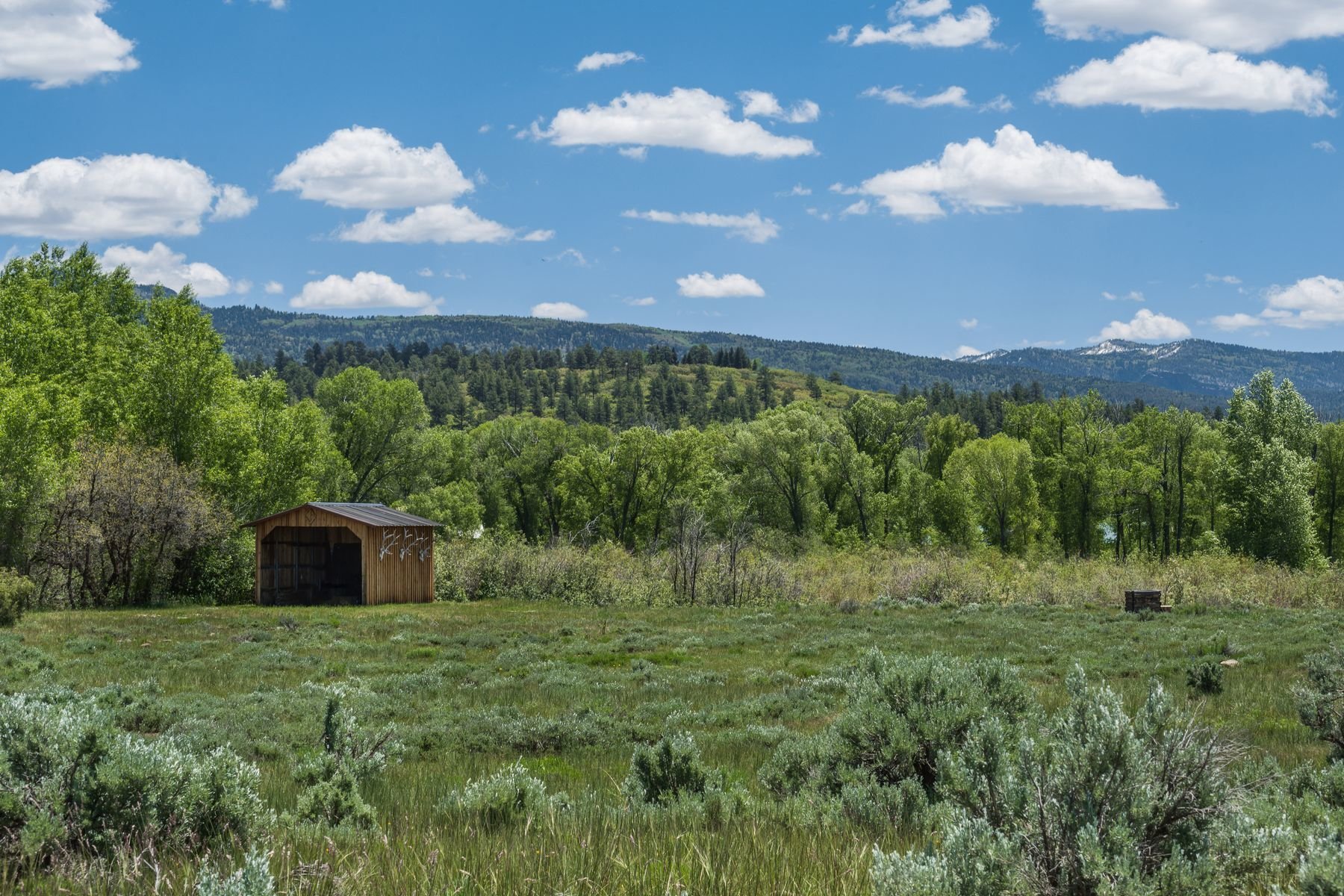 Chama River Ranch in Chama, NM, United States for sale (10533719)
