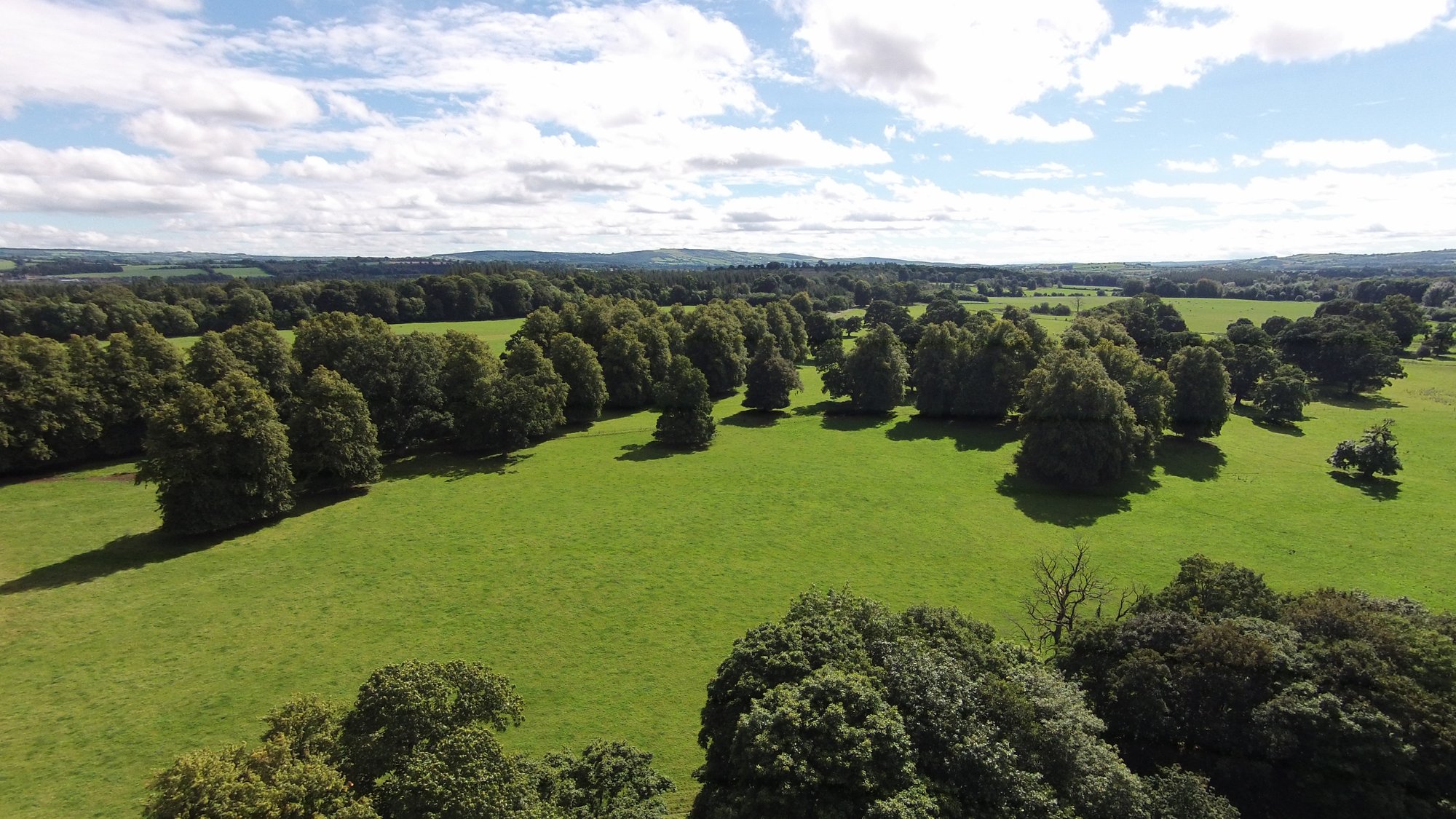 The Abbey Leix Estate in Abbeyleix, Ireland for sale (10536752)