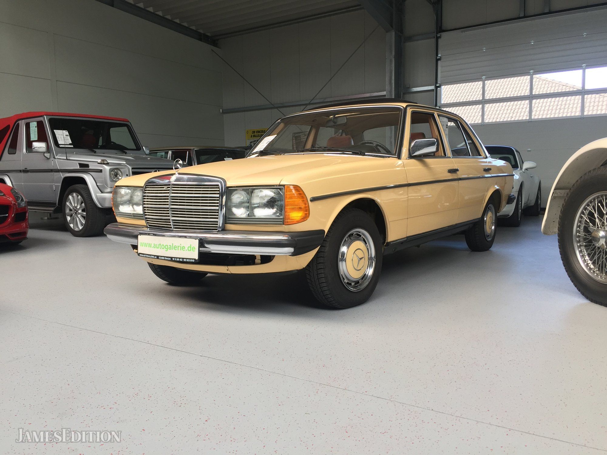 1980 Mercedes-Benz 250 in Sinzig, Germany for sale (10545010)