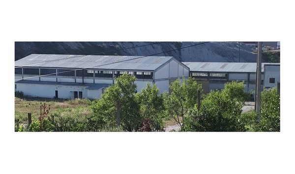 Diverse surface for Sale (10559110)