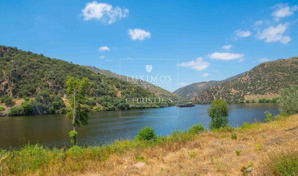 Farm, in river front, for sale, Torre de Moncorvo, Douro, Portugal (10593280)