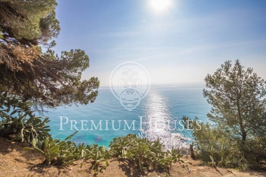 Land in Arenys de Mar, Catalonia, Spain 1 - 10609765
