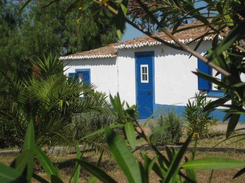 Alentejo Grandola Estate With 62 Ha, 3 Urban In Grândola, Setubal