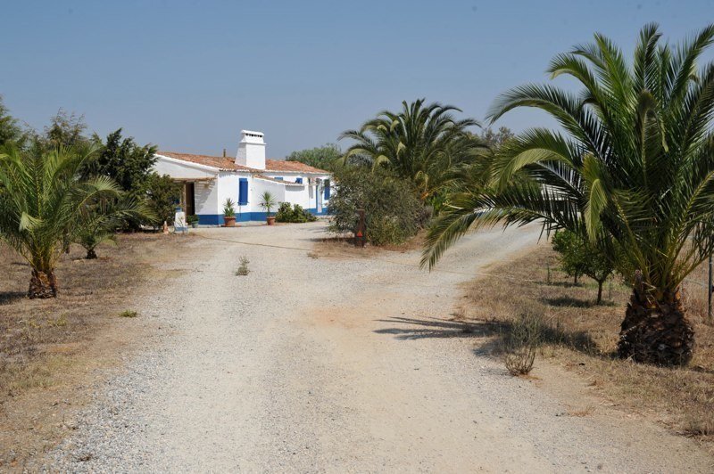 Alentejo Grandola Estate With 62 Ha, 3 Urban In Grândola, Setubal