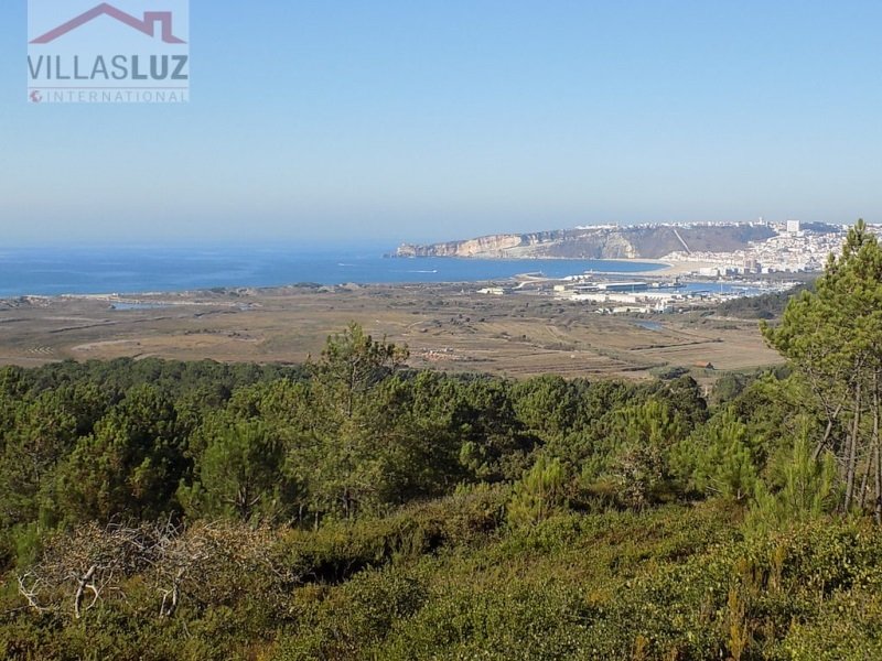 Land for sale in Nazaré, Portugal — €1,190,000