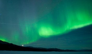 Amazing Dogsledding adventures in Lapland/Sweden