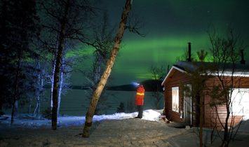 Amazing Dogsledding adventures in Lapland/Sweden