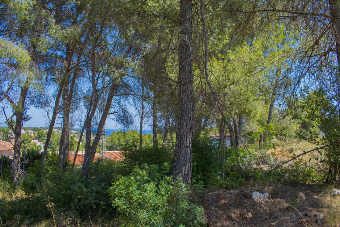 Land in Benissa, Valencian Community, Spain 5 - 10688901