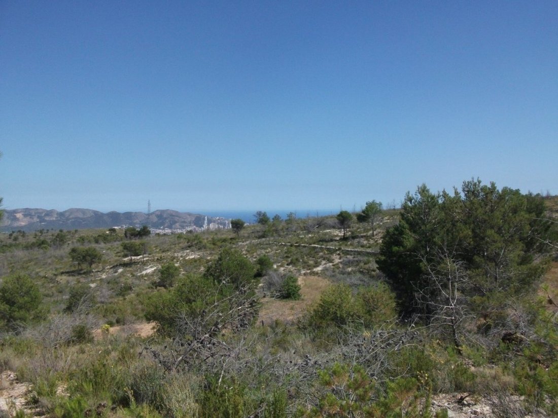 Land in la Nucia, Valencian Community, Spain 3 - 10690063