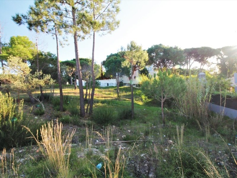 Land for sale in Loulé, Portugal — €1,575,000